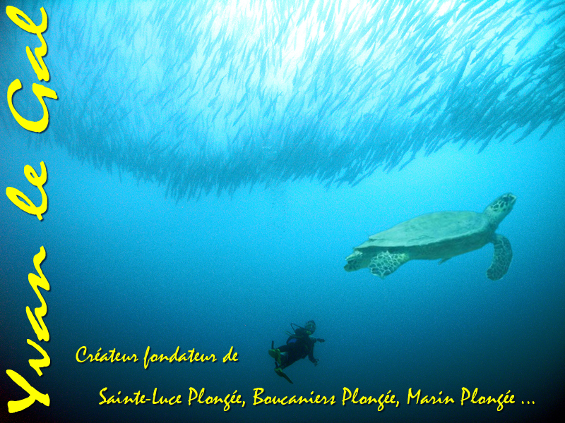 Yvan Le Gal : créateur fondateur de Sainte-Luce Plongée, Marin Plongée, Boucaniers Plongée. Martinique.